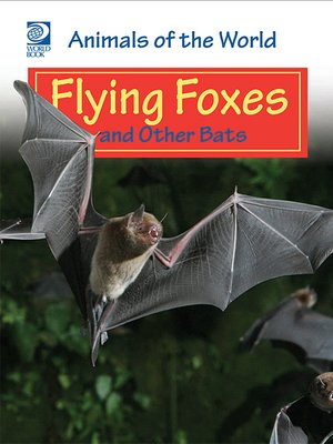 cover image of Flying Foxes and Other Bats